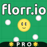 Florr IO